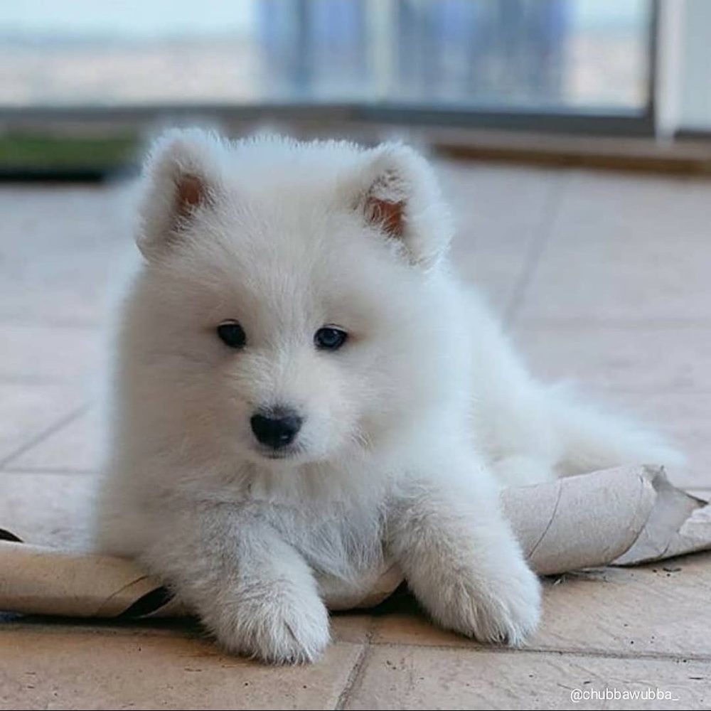 Meet your Posher, Kalen